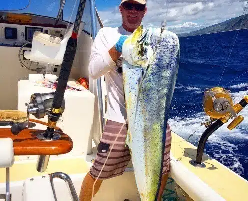 Mahi Mahi One of the best fishing charters oahu has available. Hire Flyer Sportfishing for your next Oahu deep sea fishing charter in Hawaii.