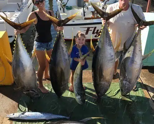 g2 yellow fin tuna or ahi caught onboard the Flyer sportfishing vessel.