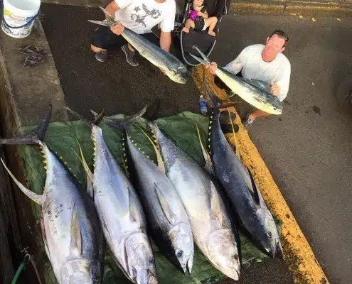 g9 Catch displayed after one of our fishing tours, Oahu, north shore.