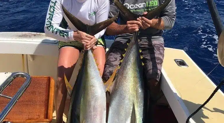 Ahi tuna fishing Oahu Hawaii