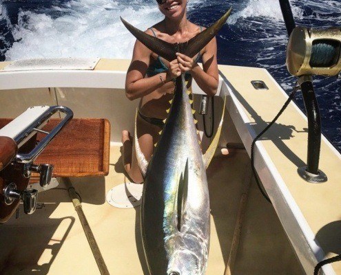 Yellowfin tuna, known in Hawaii as Ahi, caught on the local fishing vessel the "Flyer".
