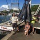 Photo-Blue- Marlin-charter in Oahu, Hawaii.