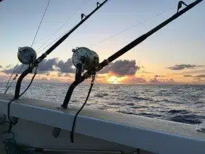 Types of fish that can be caught in Hawaii. Oahu fishing charters North Shore.