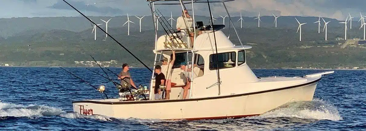 Flyer trolling boat at sea of the coast of the north shore.