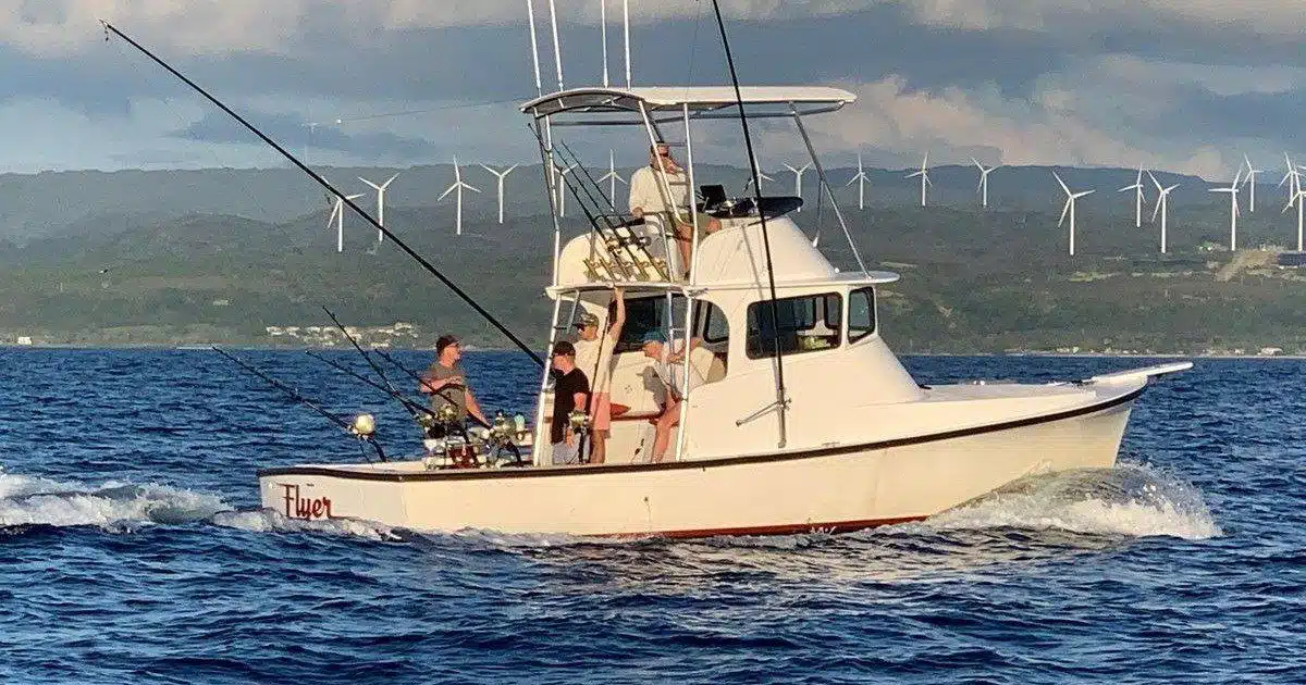 Flyer trolling boat at sea of the coast of the north shore.