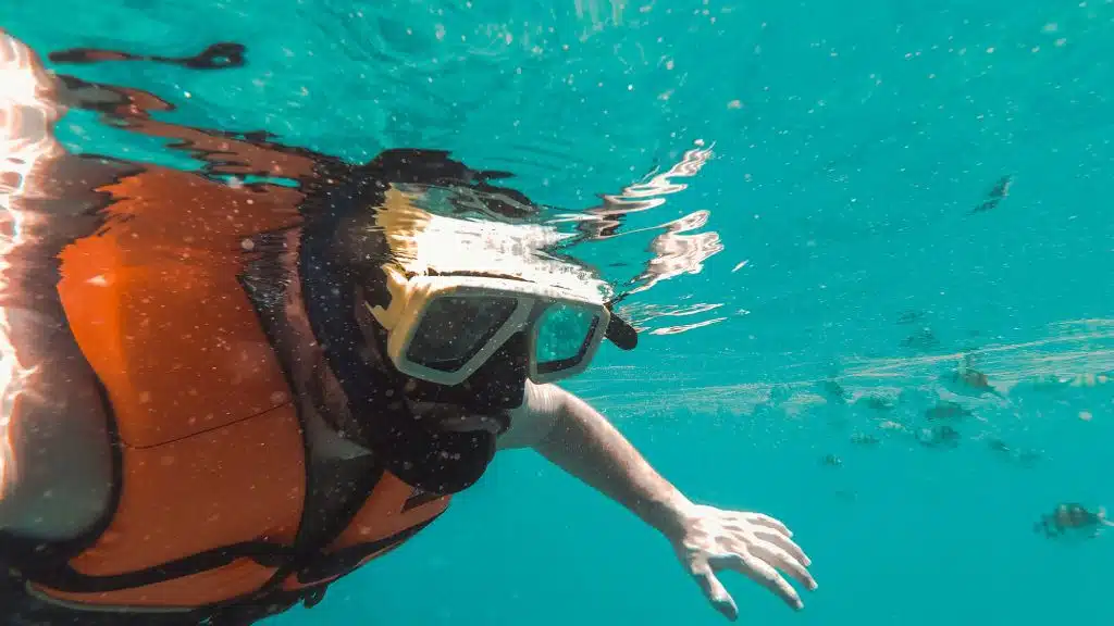 Snorkeling in Shark's Cover on Oahu North Shore. Deep sea fishing charter Flyer Sportfishing recommends Sharks cover for diving.